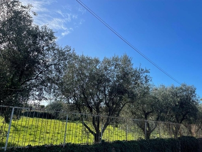 Terreno Agricolo in vendita a Marino via Appia Nuova, 240