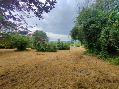 Terreno Agricolo in vendita a Castel Gandolfo via Mater Dei