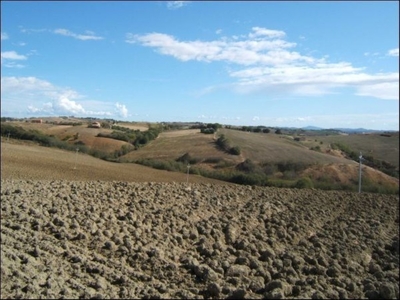 Terreno Agricolo in vendita a Castelbellino via Roma, 15