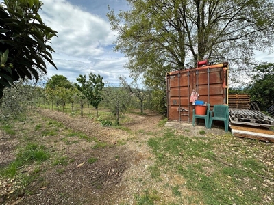 Terreno Agricolo in vendita a Castelnuovo Magra via Tavolara,