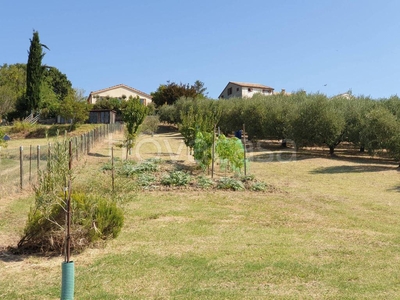 Terreno Agricolo in vendita a Castelplanio via Piagge, snc