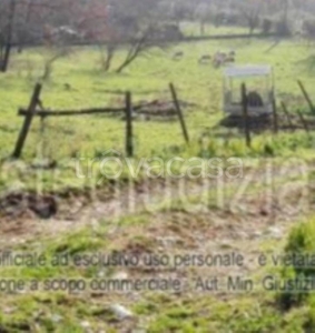 Terreno Agricolo in vendita a Castro dei Volsci contrada Vallereale