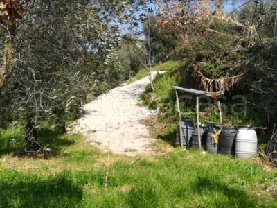 Terreno Agricolo in vendita a Cori via Colle Fagiano