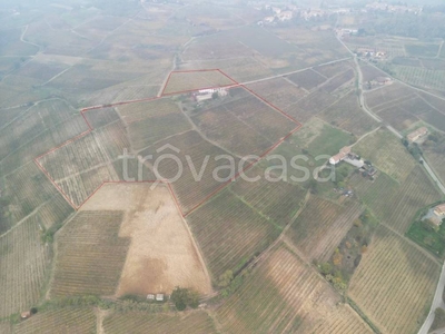 Terreno Agricolo in vendita a Costigliole d'Asti strada Monia 1