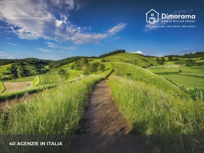 Terreno Agricolo in vendita a Filottrano via Imbrecciata