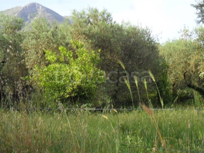 Terreno Agricolo in vendita a Formia via Appia Lato Roma