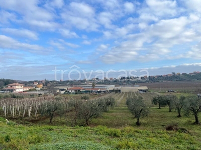 Terreno Agricolo in vendita a Frascati via Valle di Pantano Secco, 10