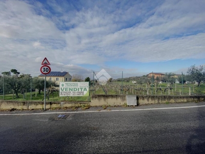 Terreno Agricolo in vendita a Frascati via Vanvitelli, 48