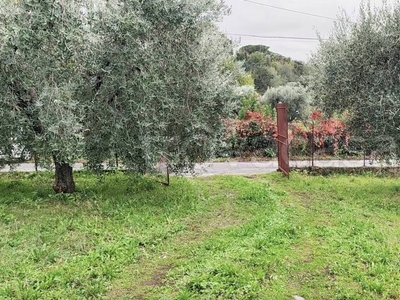 Terreno Agricolo in vendita a Grottaferrata via di Campo Vecchio, 34