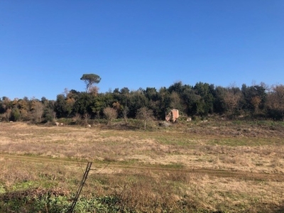 Terreno Agricolo in vendita a Guidonia Montecelio via Colle Spinello,