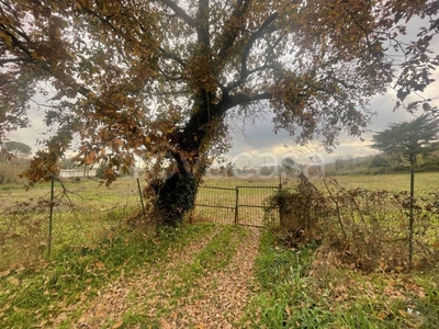 Terreno Agricolo in vendita a Guidonia Montecelio via del Cannetaccio, 4