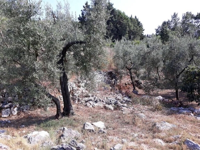 Terreno Agricolo in vendita a Itri