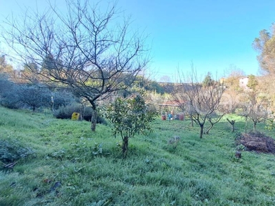 Terreno Agricolo in vendita a Lanuvio via Marcello Servadio