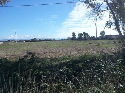 Terreno Agricolo in vendita a Latina