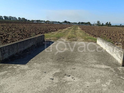 Terreno Agricolo in vendita a Latina strada della Chiesuola, 65