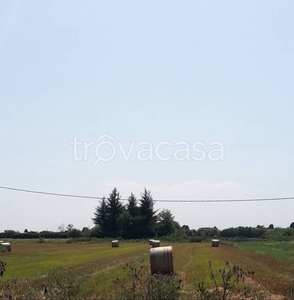 Terreno Agricolo in vendita a Legnano strada Valignana