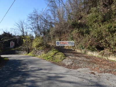 Terreno Agricolo in vendita a Luino via Paolo Berra