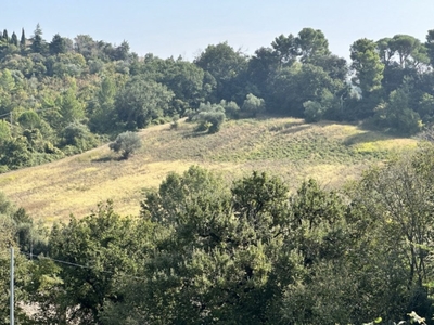 Terreno Agricolo in vendita a Macerata via Piani