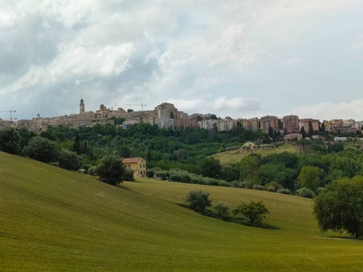 Terreno Agricolo in vendita a Macerata contrada Morica