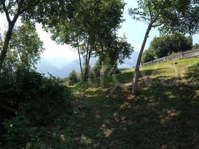 Terreno Agricolo in vendita a Malegno strada Provinciale malegno-borno-conf. Bergamasco