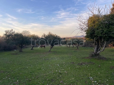 Terreno Agricolo in vendita a Manziana via del Travertino