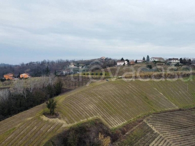 Terreno Agricolo in vendita a Mongardino via Sant'Antonio