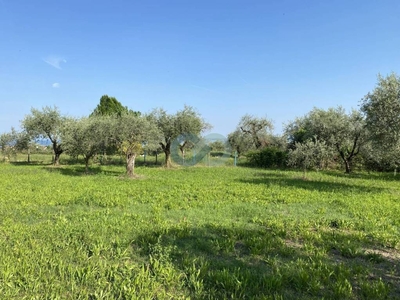 Terreno Agricolo in vendita a Moniga del Garda via Madonna, 1