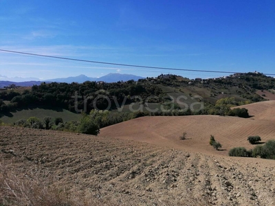 Terreno Agricolo in vendita a Monsampolo del Tronto contrada Sant'Egidio, 24A