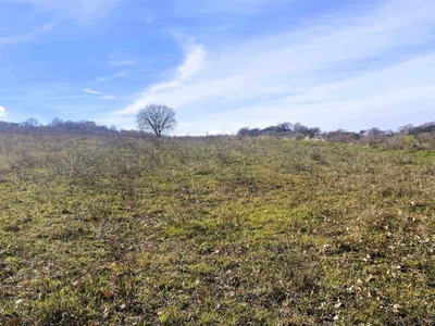 Terreno Agricolo in vendita a Montefiascone