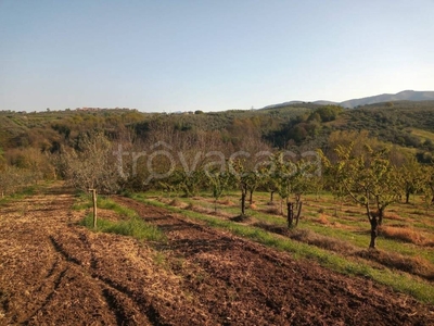 Terreno Agricolo in vendita a Montelibretti località fonte della nocchia
