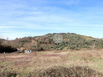 Terreno Agricolo in vendita a Montelibretti via sp26a, 134