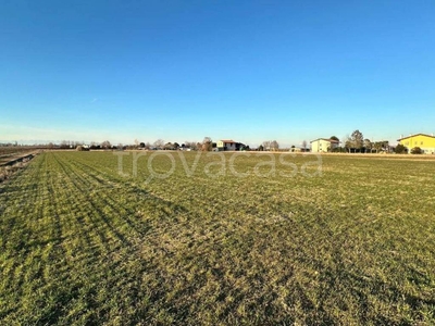 Terreno Agricolo in vendita a Palazzolo dello Stella casali Tenuta Regina