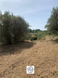 Terreno Agricolo in vendita a Palombara Sabina località Fonte Cavalla