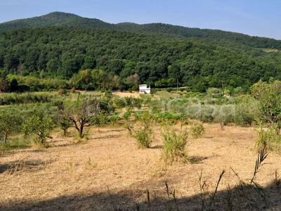 Terreno Agricolo in vendita a Palombara Sabina località Valle Pantana
