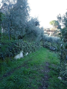 Terreno Agricolo in vendita a Palombara Sabina strada di San Francesco