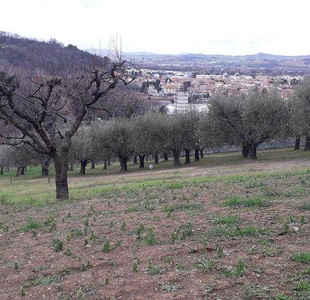 Terreno Agricolo in vendita a Pesaro