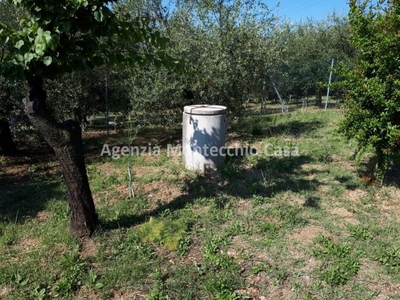 Terreno Agricolo in vendita a Pesaro strada del Montefeltro