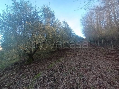 Terreno Agricolo in vendita a Pico via Farnese, 22