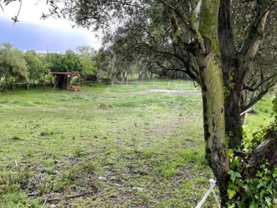 Terreno Agricolo in vendita a Pomezia via di Pratica,