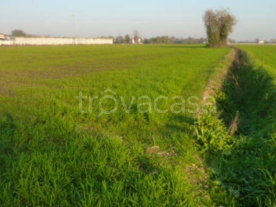 Terreno Agricolo in vendita a Pontirolo Nuovo via Arcene