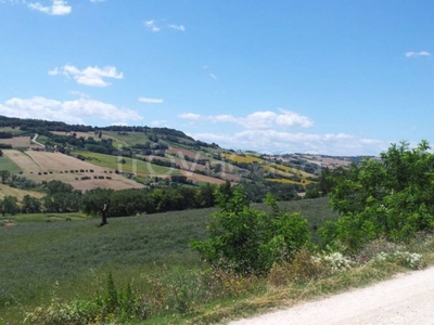 Terreno Agricolo in vendita a Potenza Picena contrada Montecanepino s.n.c