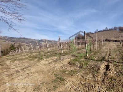 Terreno Agricolo in vendita a Ripatransone contrada Sant'Imero