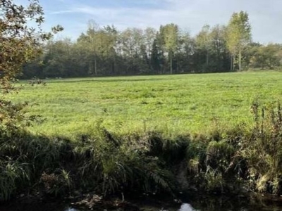 Terreno Agricolo in vendita a Robecchetto con Induno robecchetto con Induno