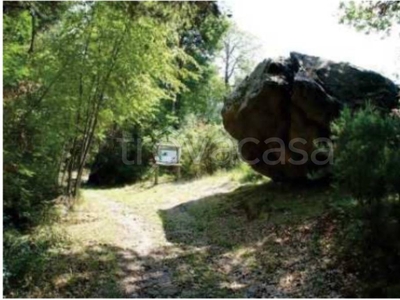 Terreno Agricolo in vendita a Rogno viale Roma, 2