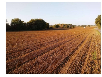 Terreno Agricolo in vendita a Roma località Mazzalupetto - Montecetrolo