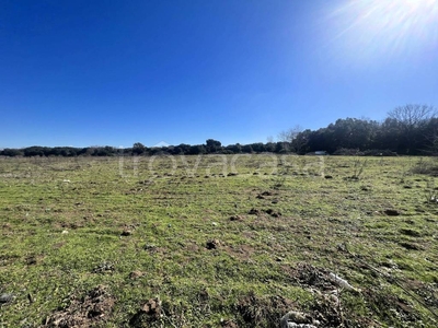 Terreno Agricolo in vendita a Roma via Dobbiaco