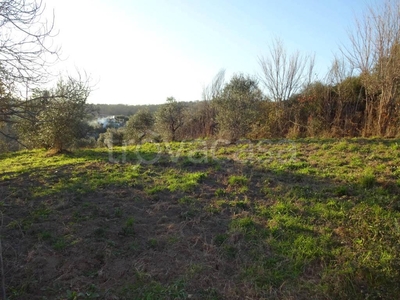 Terreno Agricolo in vendita a Sacrofano via Monte Calcaro