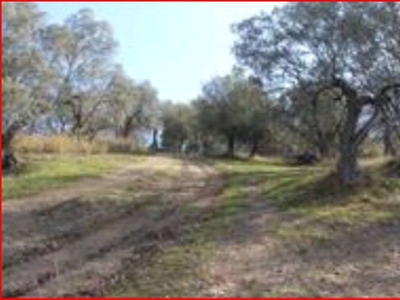 Terreno Agricolo in vendita a San Giacomo degli Schiavoni contrada Falcone