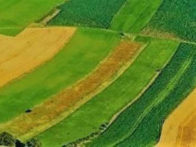 Terreno Agricolo in vendita a San Gillio san Gillio