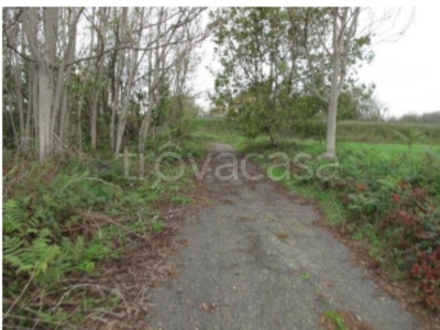 Terreno Agricolo in vendita a Santo Stefano Ticino via Cesare Battisti